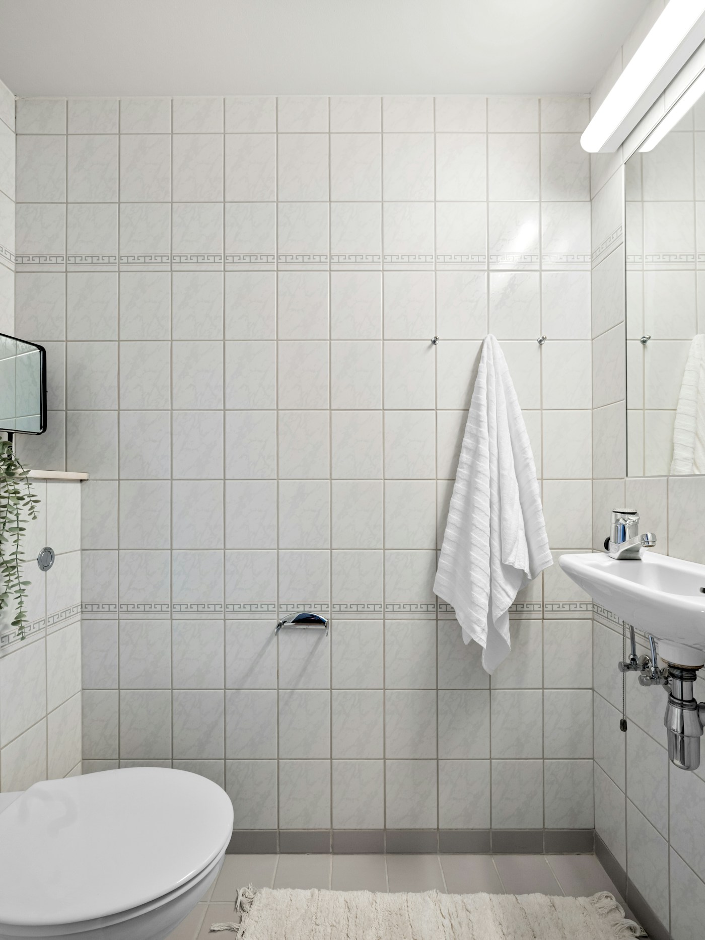 Premium plumbing fixture detail